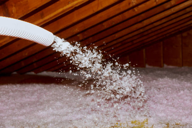 Best Insulation Removal  in Clayton, NM